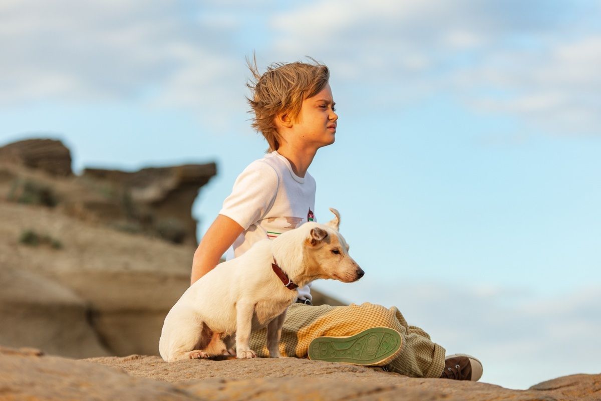 «Моя собака — космонавт»: вышел тизер-трейлер и постер семейного приключенческого фильма