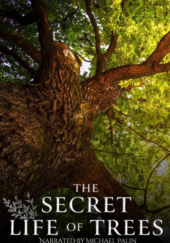 The Secret Life of Trees