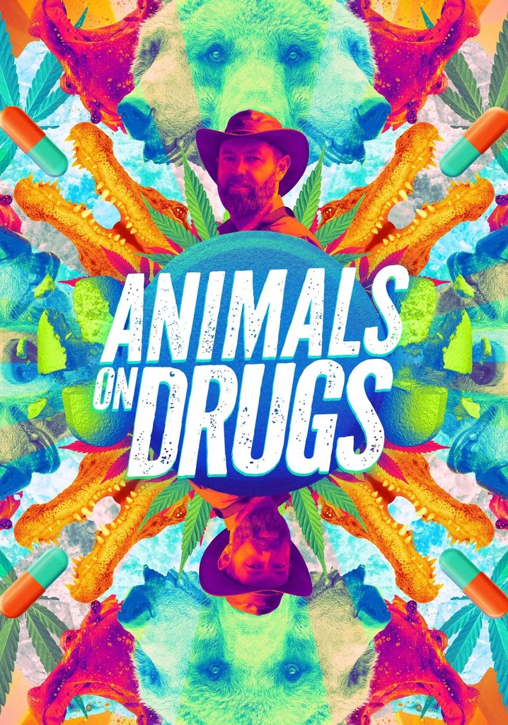 Animals on Drugs