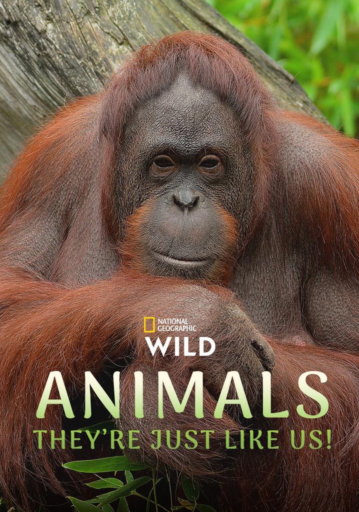 Animals, They're Just Like Us!