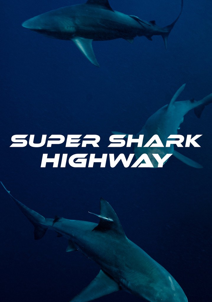 Super Shark Highway
